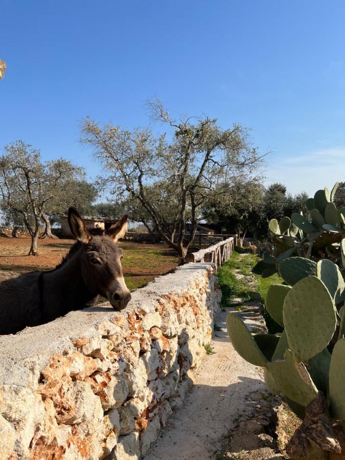 Trulli Dell'Angelo Villa Specchiolla Eksteriør billede